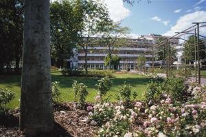 pia_opera_ciccarelli