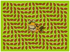 Hypnotoad_illusione_ottica